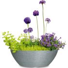 Barceo Jardiniere Pflanzschale oval