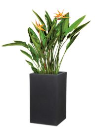 C-Cube High Pflanzgefäß