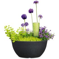 Barceo Bowl Pflanzschale rund 297 Scheurich Shop