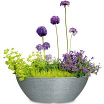 Barceo Jardiniere Pflanzschale oval 298 Scheurich Shop