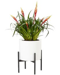 Pedestal Blumenständer