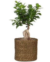 Korbtopf 508 aus Seegras