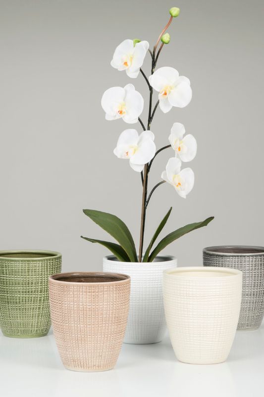Orchideentöpfe Scheurich Shop