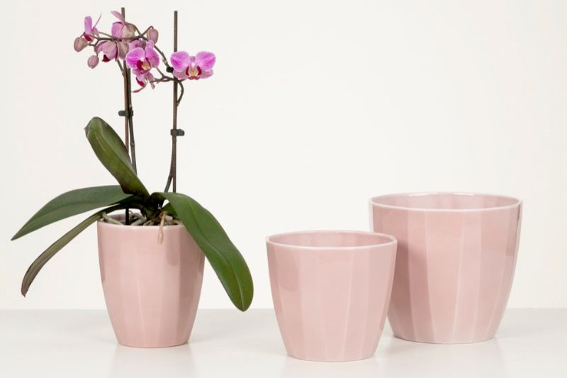 Scheurich Orchideentopf
